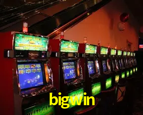 bigwin bet